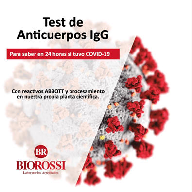 anticuerpos igg